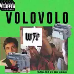 WTF - Volovolo